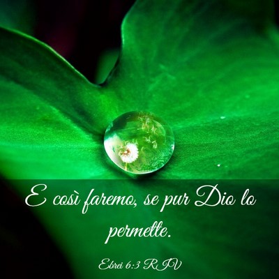 Picture 03 - Ebrei 6:3 RIV - E così faremo, se pur Dio lo - Bible Verse Picture