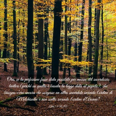 Picture 03 - Ebrei 7:11 RIV - Ora, se la perfezione fosse stata possibile per - Bible Verse Picture