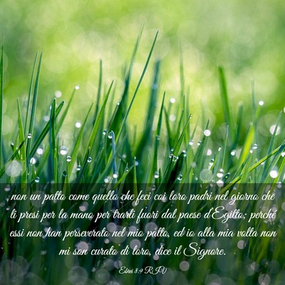 Picture 03 - Ebrei 8:9 RIV - non un patto come quello che feci coi loro padri - Bible Verse Picture