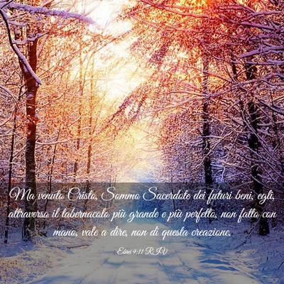 Picture 03 - Ebrei 9:11 RIV - Ma venuto Cristo, Sommo Sacerdote dei futuri - Bible Verse Picture
