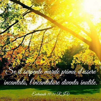 Picture 03 - Ecclesiaste 10:11 RIV - Se il serpente morde prima d’essere incantato, - Bible Verse Picture
