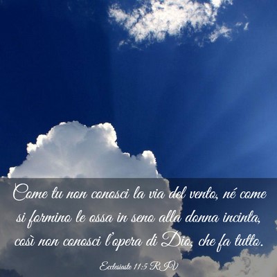 Picture 03 - Ecclesiaste 11:5 RIV - Come tu non conosci la via del vento, né come si - Bible Verse Picture