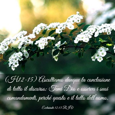 Picture 03 - Ecclesiaste 12:13 RIV - (H12-15) Ascoltiamo dunque la conclusione di - Bible Verse Picture