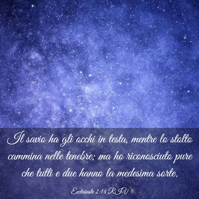 Picture 03 - Ecclesiaste 2:14 RIV - Il savio ha gli occhi in testa, mentre lo stolto - Bible Verse Picture