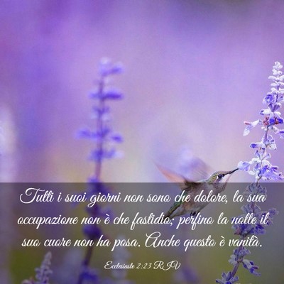 Picture 03 - Ecclesiaste 2:23 RIV - Tutti i suoi giorni non sono che dolore, la sua - Bible Verse Picture