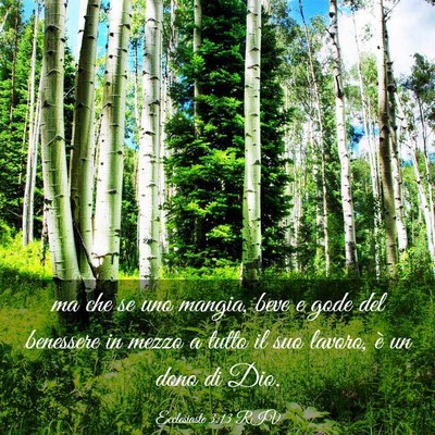Picture 03 - Ecclesiaste 3:13 RIV - ma che se uno mangia, beve e gode del benessere - Bible Verse Picture