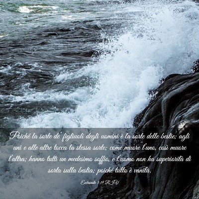 Picture 03 - Ecclesiaste 3:19 RIV - Poiché la sorte de’ figliuoli degli uomini è - Bible Verse Picture