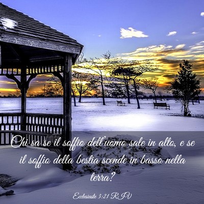 Picture 03 - Ecclesiaste 3:21 RIV - Chi sa se il soffio dell’uomo sale in alto, e - Bible Verse Picture