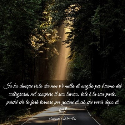 Picture 03 - Ecclesiaste 3:22 RIV - Io ho dunque visto che non v’è nulla di meglio - Bible Verse Picture