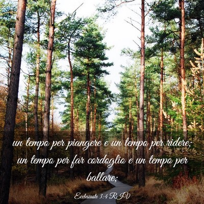 Picture 03 - Ecclesiaste 3:4 RIV - un tempo per piangere e un tempo per ridere; un - Bible Verse Picture