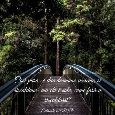 Picture 03 - Ecclesiaste 4:11 RIV - Così pure, se due dormono assieme, si - Bible Verse Picture
