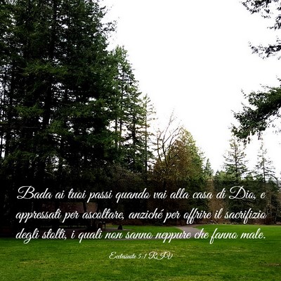 Picture 03 - Ecclesiaste 5:1 RIV - Bada ai tuoi passi quando vai alla casa di Dio, e - Bible Verse Picture