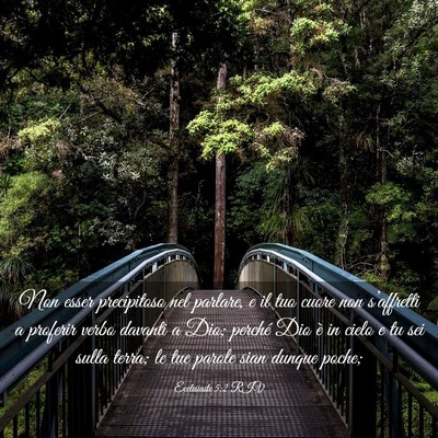 Picture 03 - Ecclesiaste 5:2 RIV - Non esser precipitoso nel parlare, e il tuo cuore - Bible Verse Picture