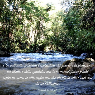 Picture 03 - Ecclesiaste 5:8 RIV - Se vedi nella provincia l’oppressione del - Bible Verse Picture