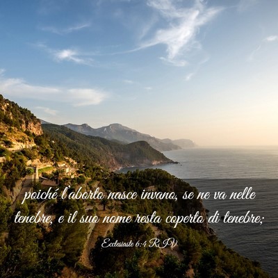 Picture 03 - Ecclesiaste 6:4 RIV - poiché l’aborto nasce invano, se ne va nelle - Bible Verse Picture