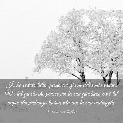 Picture 03 - Ecclesiaste 7:15 RIV - Io ho veduto tutto questo nei giorni della mia - Bible Verse Picture