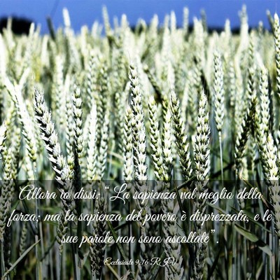 Picture 03 - Ecclesiaste 9:16 RIV - Allora io dissi: “La sapienza val meglio della - Bible Verse Picture