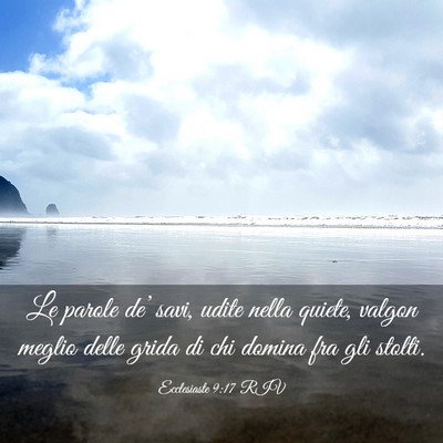 Picture 03 - Ecclesiaste 9:17 RIV - Le parole de’ savi, udite nella quiete, valgon - Bible Verse Picture
