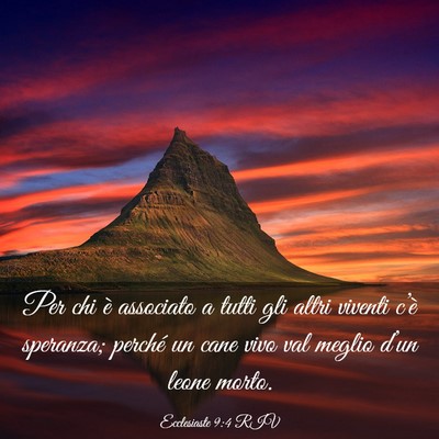 Picture 03 - Ecclesiaste 9:4 RIV - Per chi è associato a tutti gli altri viventi - Bible Verse Picture