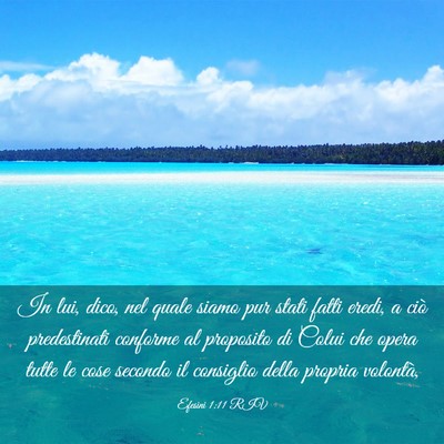 Picture 03 - Efesini 1:11 RIV - In lui, dico, nel quale siamo pur stati fatti - Bible Verse Picture