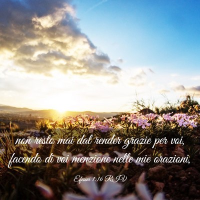 Picture 03 - Efesini 1:16 RIV - non resto mai dal render grazie per voi, facendo - Bible Verse Picture