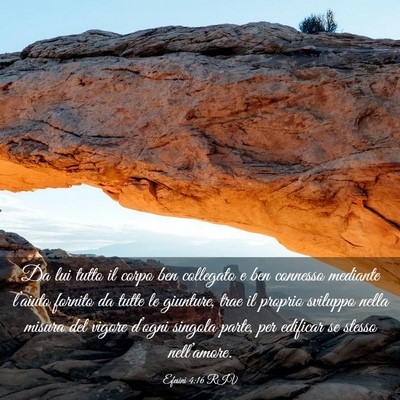 Picture 03 - Efesini 4:16 RIV - Da lui tutto il corpo ben collegato e ben - Bible Verse Picture