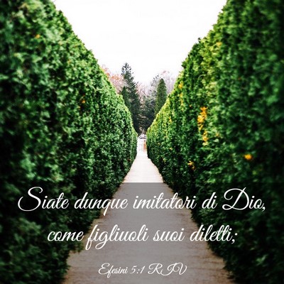 Picture 03 - Efesini 5:1 RIV - Siate dunque imitatori di Dio, come figliuoli - Bible Verse Picture