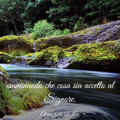 Picture 03 - Efesini 5:10 RIV - esaminando che cosa sia accetto al - Bible Verse Picture