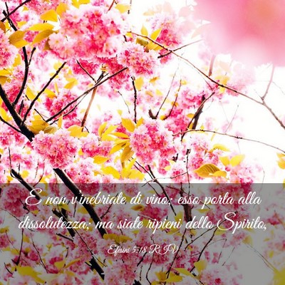 Picture 03 - Efesini 5:18 RIV - E non v’inebriate di vino; esso porta alla - Bible Verse Picture