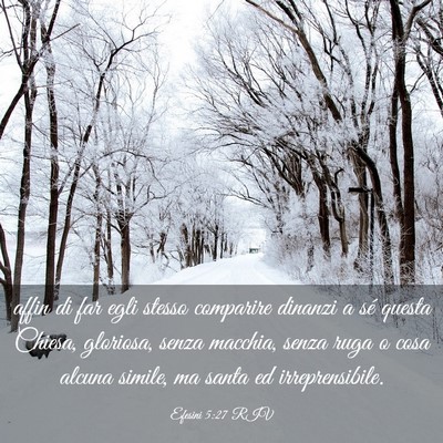 Picture 03 - Efesini 5:27 RIV - affin di far egli stesso comparire dinanzi a sé - Bible Verse Picture