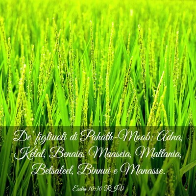 Picture 03 - Esdra 10:30 RIV - De’ figliuoli di Pahath-Moab: Adna, Kelal, - Bible Verse Picture