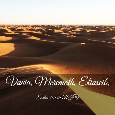 Picture 03 - Esdra 10:36 RIV - Vania, Meremoth, - Bible Verse Picture