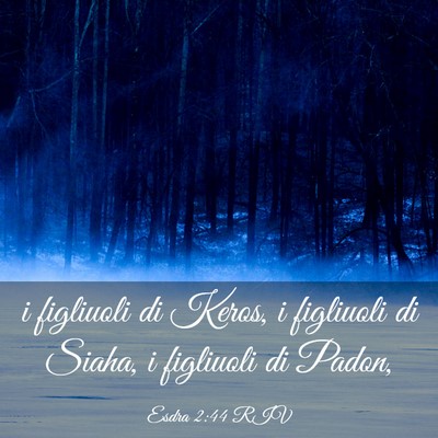 Picture 03 - Esdra 2:44 RIV - i figliuoli di Keros, i figliuoli di Siaha, i - Bible Verse Picture