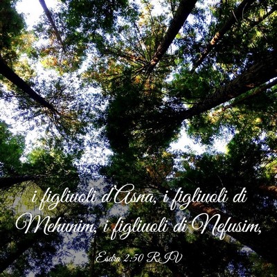 Picture 03 - Esdra 2:50 RIV - i figliuoli d’Asna, i figliuoli di Mehunim, i - Bible Verse Picture