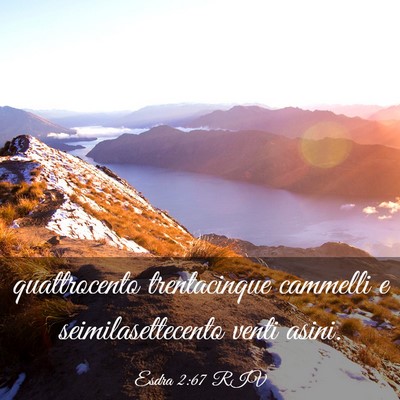 Picture 03 - Esdra 2:67 RIV - quattrocento trentacinque cammelli e - Bible Verse Picture