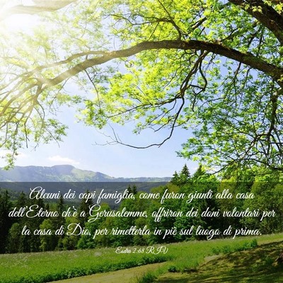 Picture 03 - Esdra 2:68 RIV - Alcuni dei capi famiglia, come furon giunti alla - Bible Verse Picture
