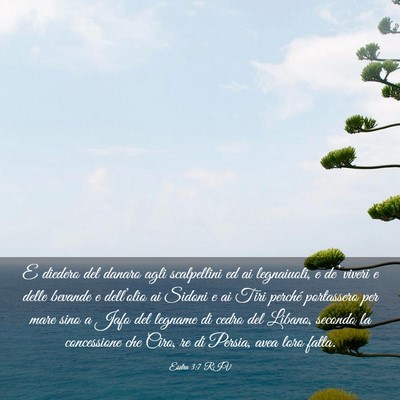 Picture 03 - Esdra 3:7 RIV - E diedero del danaro agli scalpellini ed ai - Bible Verse Picture