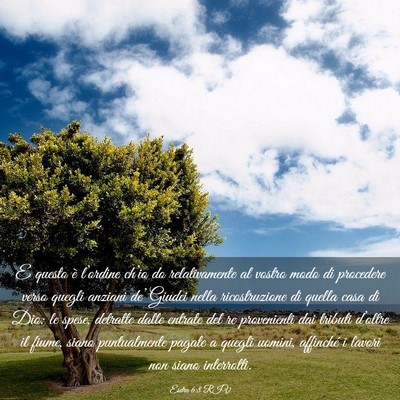 Picture 03 - Esdra 6:8 RIV - E questo è l’ordine ch’io do relativamente - Bible Verse Picture