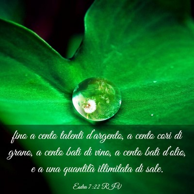 Picture 03 - Esdra 7:22 RIV - fino a cento talenti d’argento, a cento cori di - Bible Verse Picture