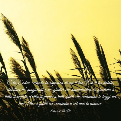 Picture 03 - Esdra 7:25 RIV - E tu, Esdra, secondo la sapienza di cui il tuo - Bible Verse Picture