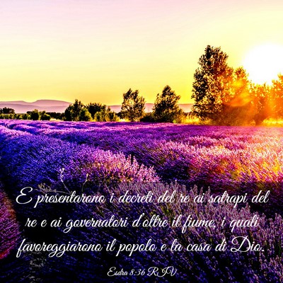 Picture 03 - Esdra 8:36 RIV - E presentarono i decreti del re ai satrapi del re - Bible Verse Picture