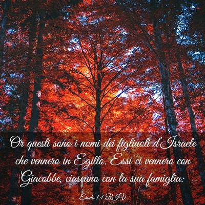 Picture 03 - Esodo 1:1 RIV - Or questi sono i nomi dei figliuoli d’Israele - Bible Verse Picture