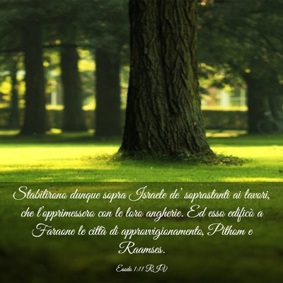 Picture 03 - Esodo 1:11 RIV - Stabilirono dunque sopra Israele de’ - Bible Verse Picture