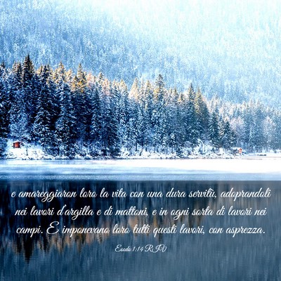 Picture 03 - Esodo 1:14 RIV - e amareggiaron loro la vita con una dura - Bible Verse Picture