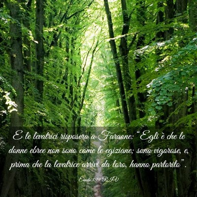 Picture 03 - Esodo 1:19 RIV - E le levatrici risposero a Faraone: “Egli è - Bible Verse Picture