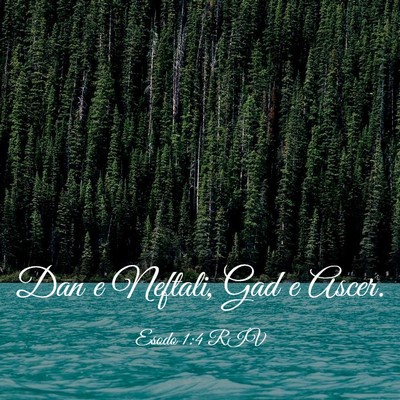 Picture 03 - Esodo 1:4 RIV - Dan e Neftali, Gad e - Bible Verse Picture