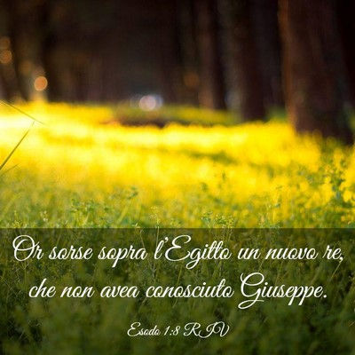 Picture 03 - Esodo 1:8 RIV - Or sorse sopra l’Egitto un nuovo re, che non - Bible Verse Picture