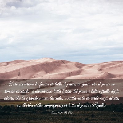 Picture 03 - Esodo 10:15 RIV - Esse coprirono la faccia di tutto il paese, in - Bible Verse Picture