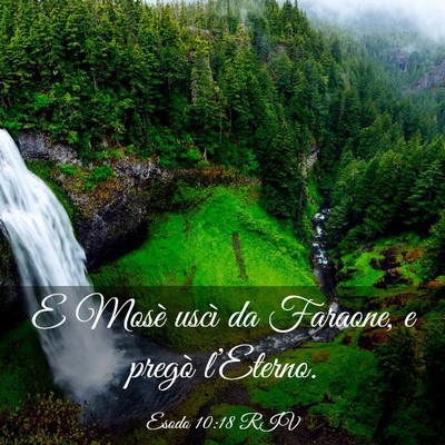 Picture 03 - Esodo 10:18 RIV - E Mosè uscì da Faraone, e pregò - Bible Verse Picture