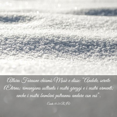 Picture 03 - Esodo 10:24 RIV - Allora Faraone chiamò Mosè e disse: “Andate, - Bible Verse Picture